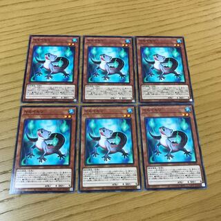 イモヤモリ　ノーマル　6枚セット