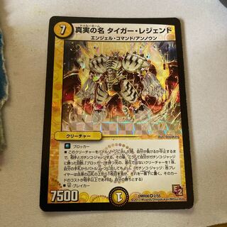 真実の名 タイガー・レジェンド