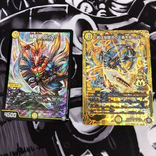 ♪君は煌銀河の正義を見たか？　緑知銀ダッカル　セット