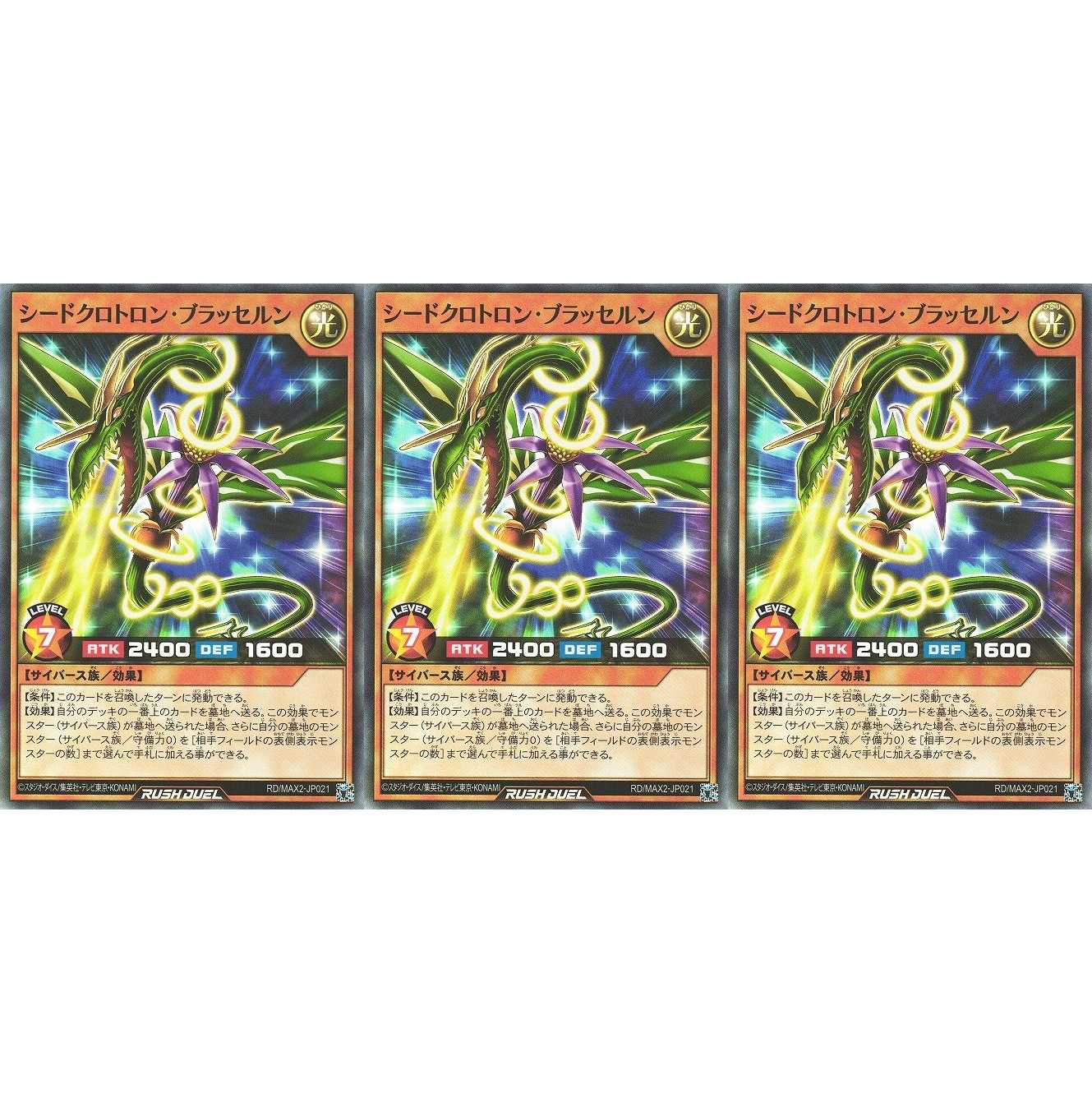 シードクロトロン・ブラッセルン スーパー 3枚