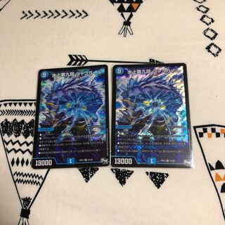 RP03 水上第九院シャコガイル2枚セット