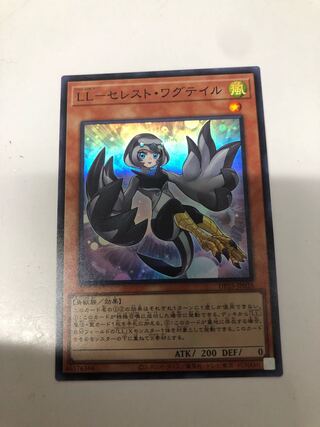 LL-セレスト・ワグテイル