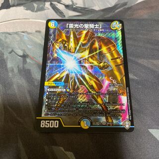 「雷光の聖騎士」