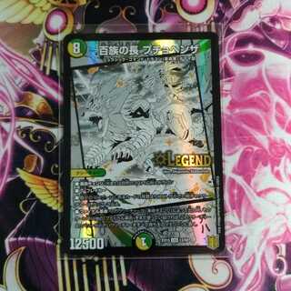 百族の長 プチョヘンザ 1枚