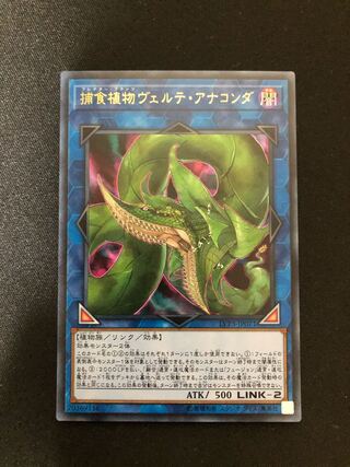 遊戯王 捕食植物ヴェルテ・アナコンダ シークレット シクの通販