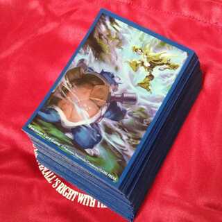 【使用品】カメックス&フーディン デッキシールド40枚