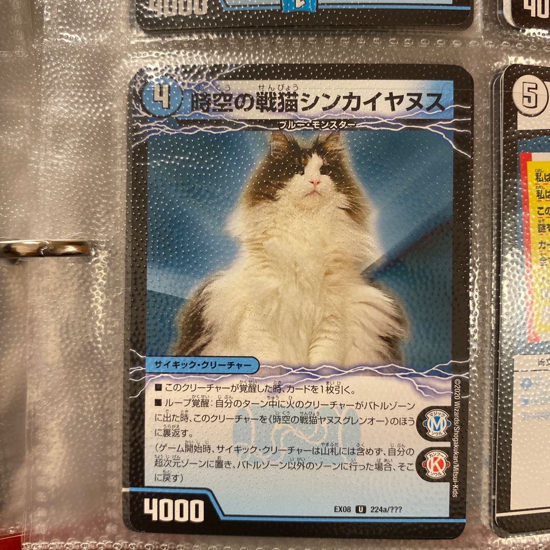 時空の戦猫シンカイヤヌス|時空の戦猫ヤヌスグレンオー