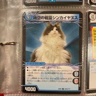 時空の戦猫シンカイヤヌス｜時空の戦猫ヤヌスグレンオー