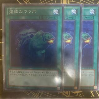 強欲なウツボ ノーマル　【きょうこ】