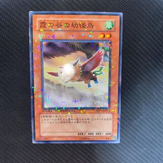 霞の谷の幼怪鳥