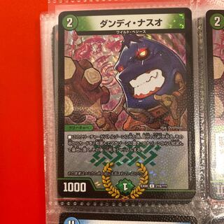 ダンディ・ナスオ C-foil