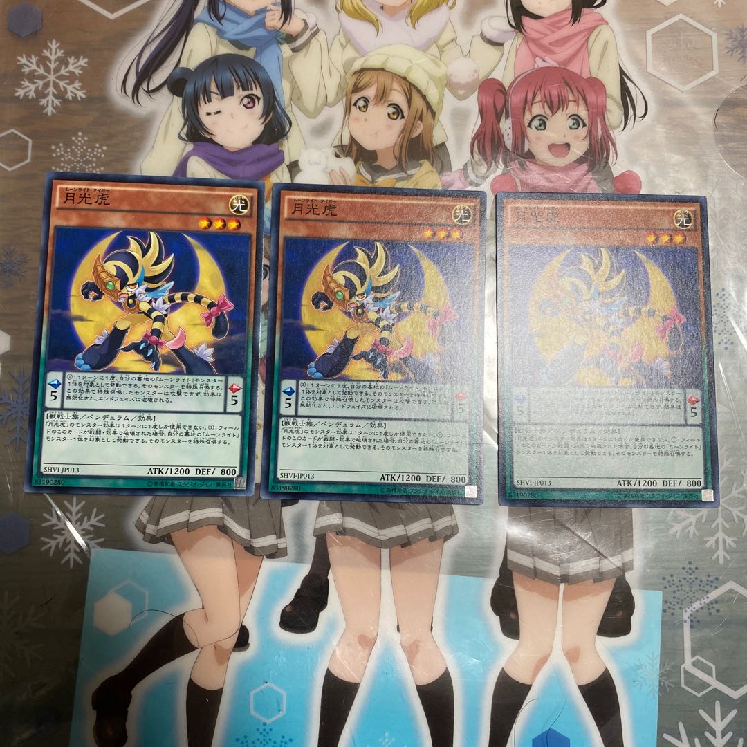 「N」月光虎 SHVI-JP013 3枚セット