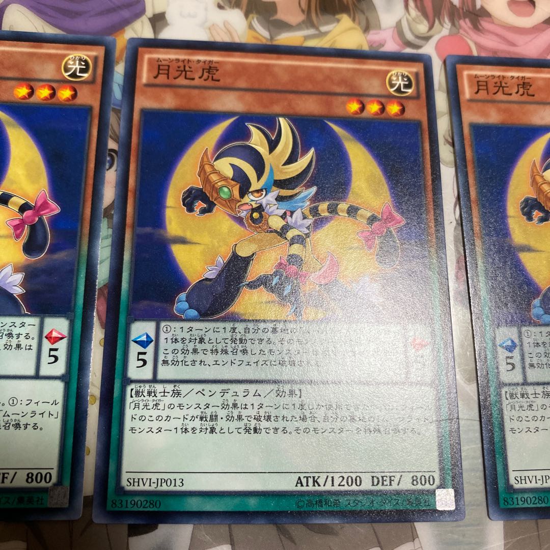 「N」月光虎 SHVI-JP013 3枚セット