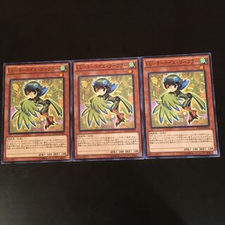 LL-Turquoise Warbler, normal, 3 pieces