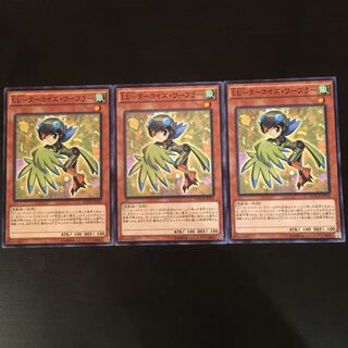 LL-Turquoise Warbler, normal, 3 pieces