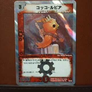 セット割引　コッコ・ルピア