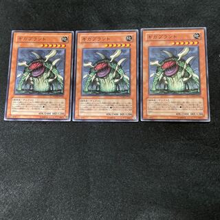 ギガプラント ノーマル　3枚セット　005