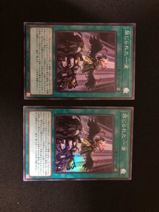 遊戯王　禁じられた一滴　２枚セット　SR