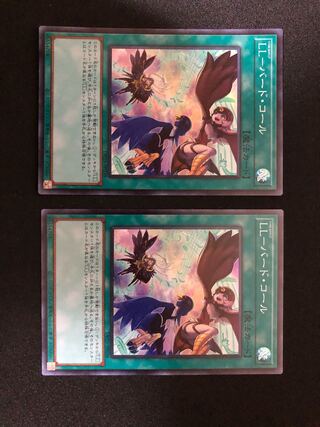 LL-バード・コール スーパーレア　２枚セット