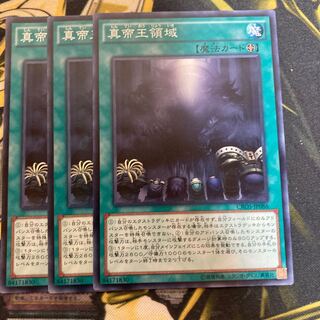 マドレース1696真帝王領域 ノーマル