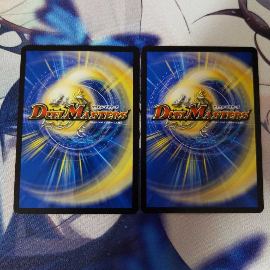 麗泳者 マツバメモノ　2枚