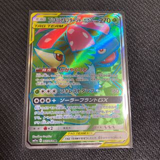 フシギバナ＆ツタージャGX SR