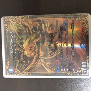 ニコルボーラス