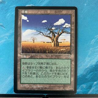 MTG 3 Grasslands