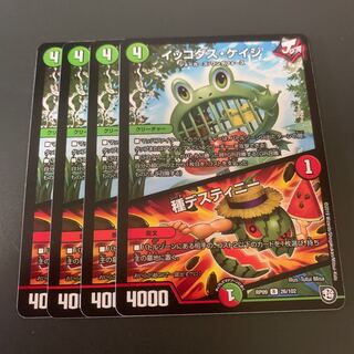 イッコダス・ケイジ｜種デスティニー