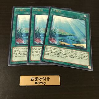 水舞台 レア　ランタンシャーク