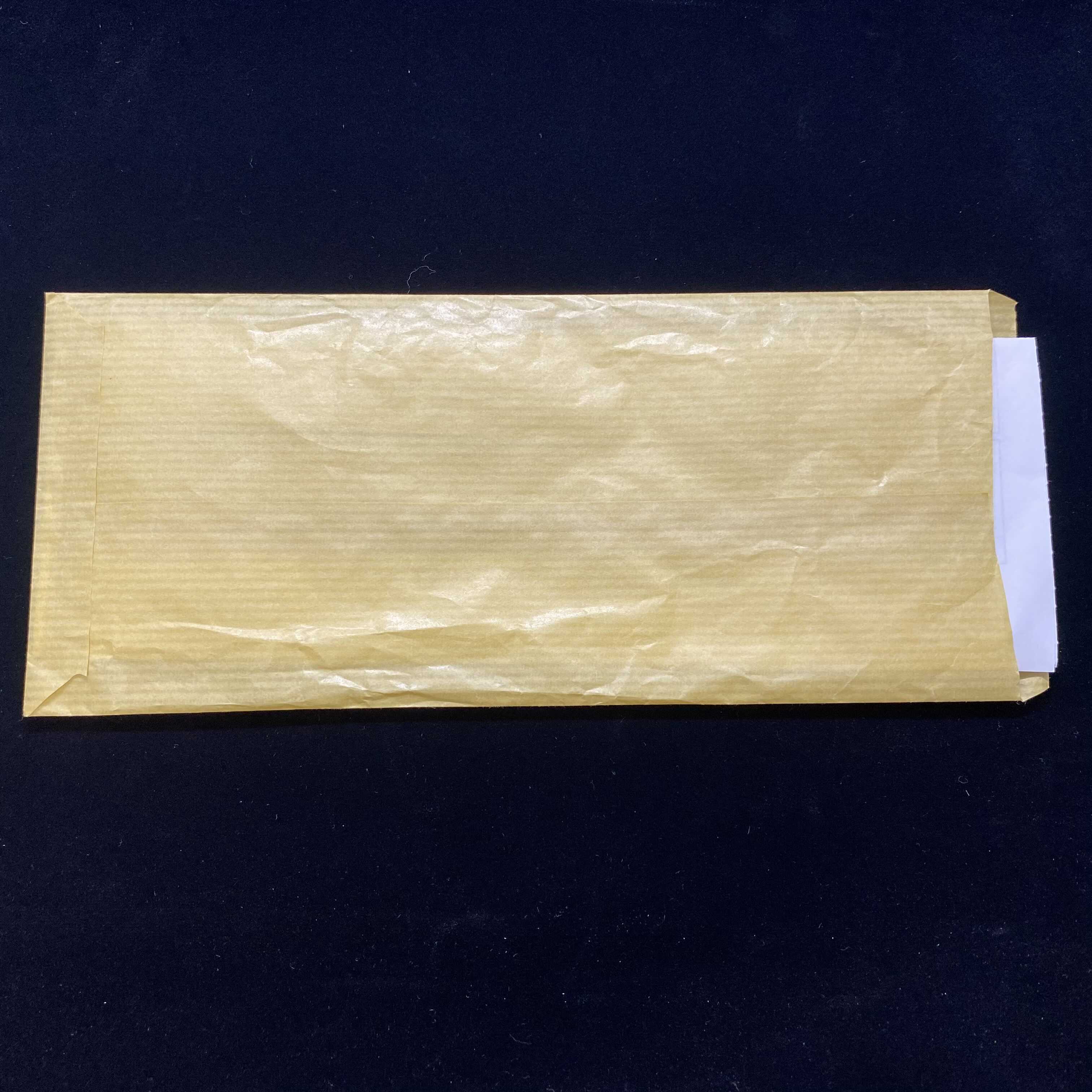 【納品書有】No.02217 ステンレス製ブラック・マジシャン・ガール