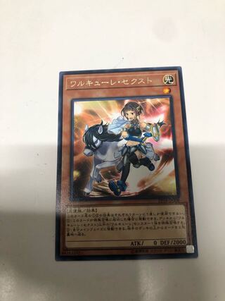 ワルキューレ・セクスト