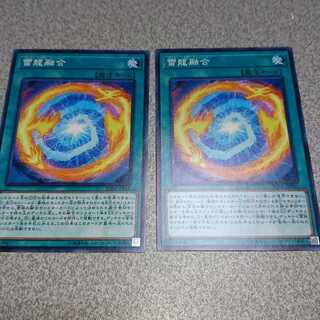 雷龍融合 ノーマル