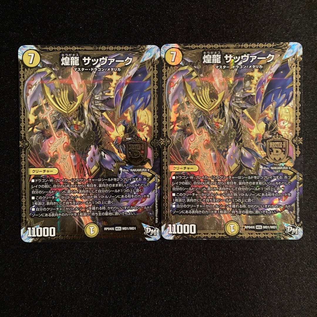 煌龍 サッヴァーク