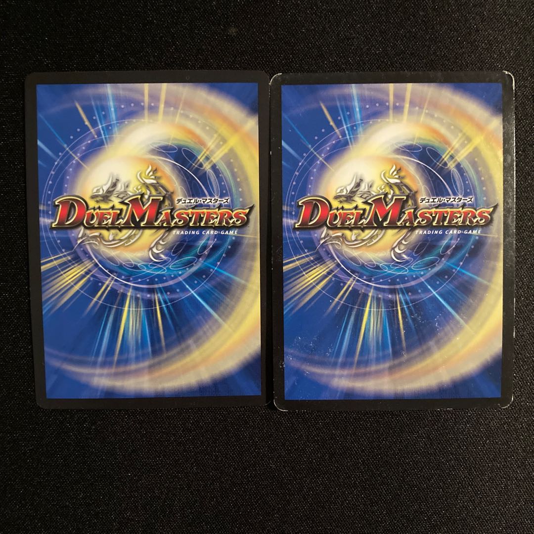 煌龍 サッヴァーク