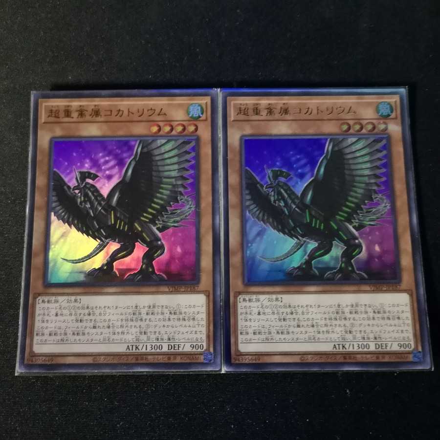 超重禽属コカトリウム　2枚