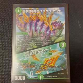 闘争類拳嘩目 ステゴロ・カイザー｜お清めシャラップ