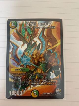 金色目 ポラリス