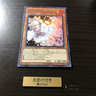 灰流うらら 3枚　ウルトラレア　スーパーレア