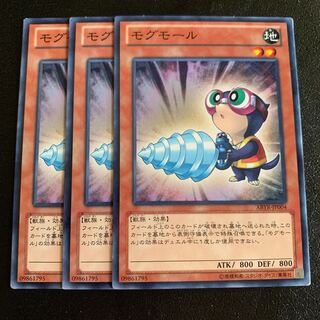 モグモール ノーマル