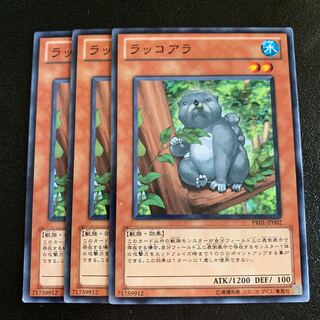 ラッコアラ ノーマル