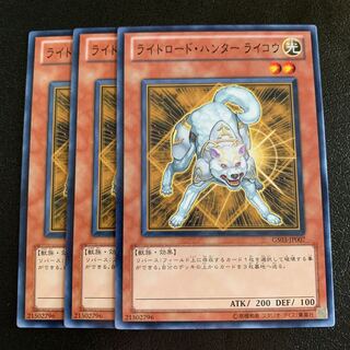 ライトロード・ハンター ライコウ ノーマル