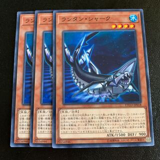 ランタン・シャーク ノーマル