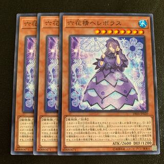 六花精ヘレボラス ノーマル