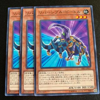 リバーシブル・ビートル ノーマル