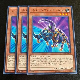 リバーシブル・ビートル ノーマル