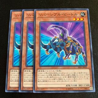 リバーシブル・ビートル ノーマル