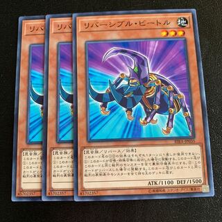 リバーシブル・ビートル ノーマル