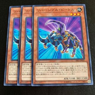 リバーシブル・ビートル ノーマル