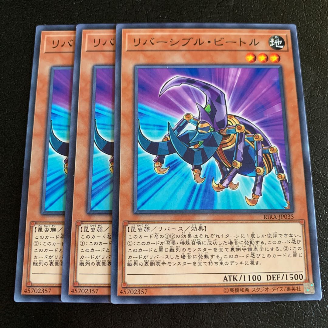 リバーシブル・ビートル ノーマル